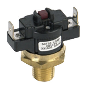 Raypak® 008093F