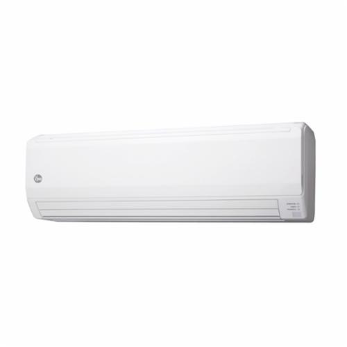 Rheem® RIWH30AVFJ