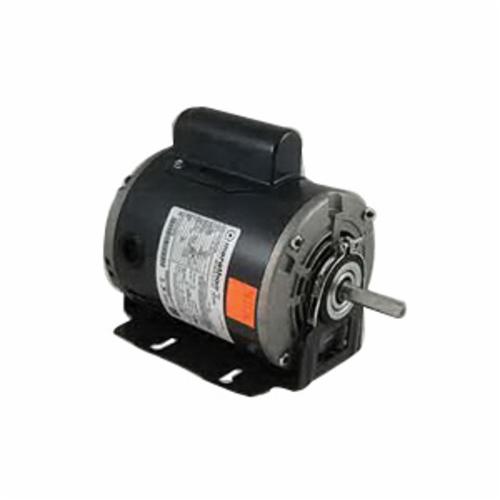 Acme Miami 921734