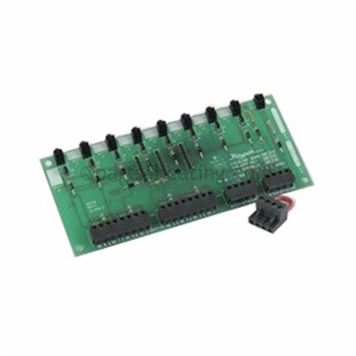 Raypak® 007147F