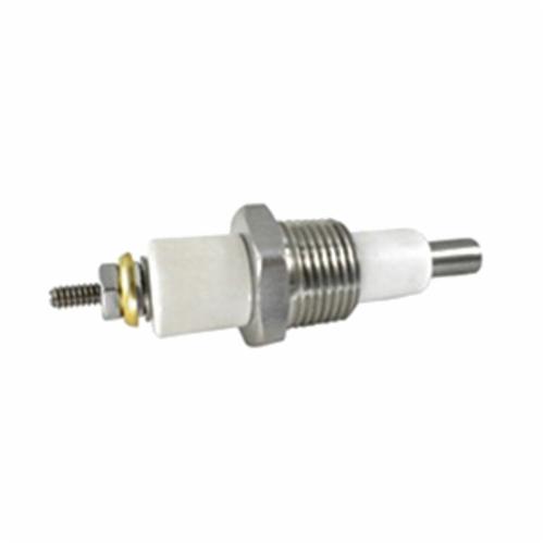 Raypak® 007228F