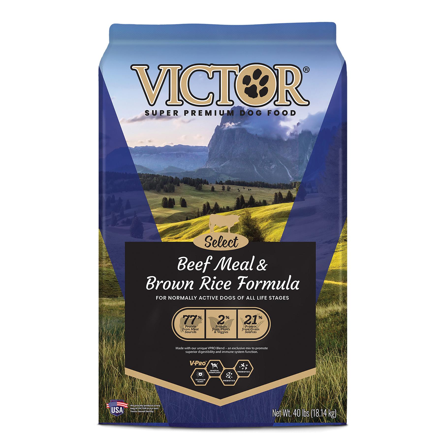 VICTOR&reg; 2343