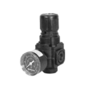 1/4 VIC NPT REGR 5-60 PSI GA NORGREN R72G-2AK-RFG S002756001