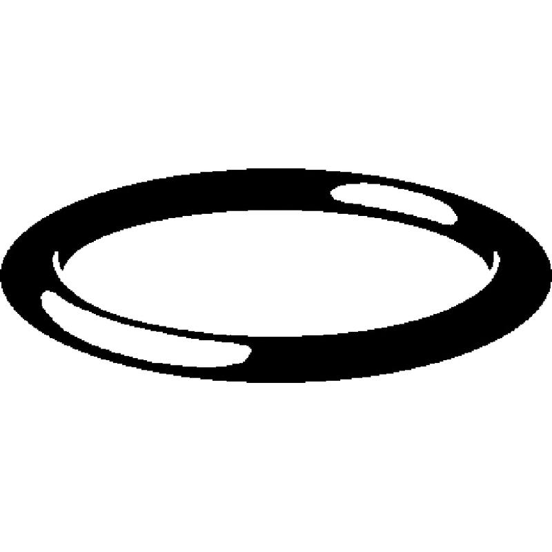 Flange Gaskets and Seals