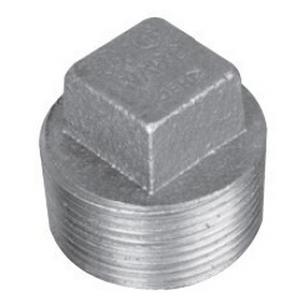 WardFlex 1.NP Square Head Regular Cored Plug, 1 in MNPT, Iron, Galvanized, 125 lb
