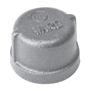 WardFlex 49 Series 2.BMCAP Cap, 2 in FNPT, Iron, Black, 150 lb
