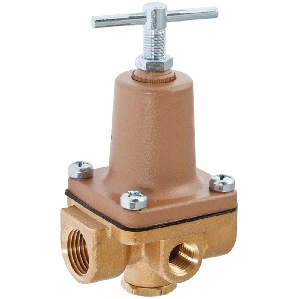 WATTS® 0009835