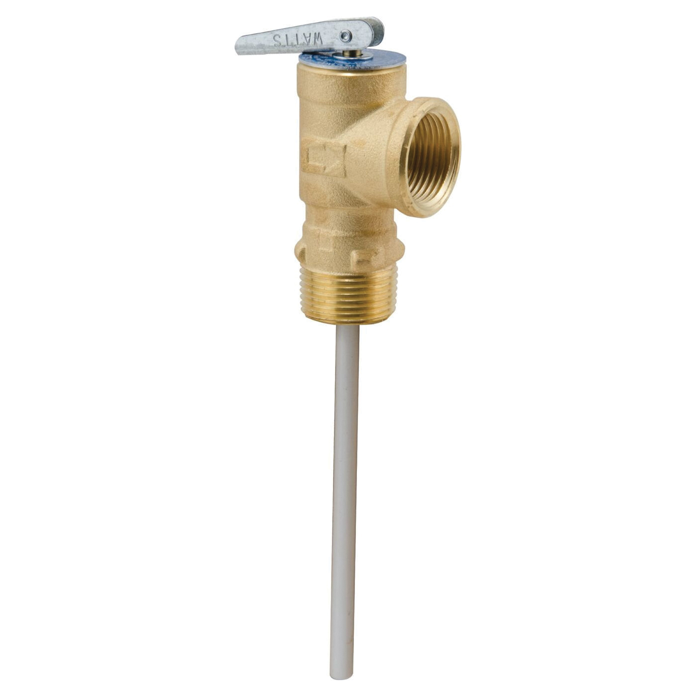 WATTS&reg; 0066100 42558