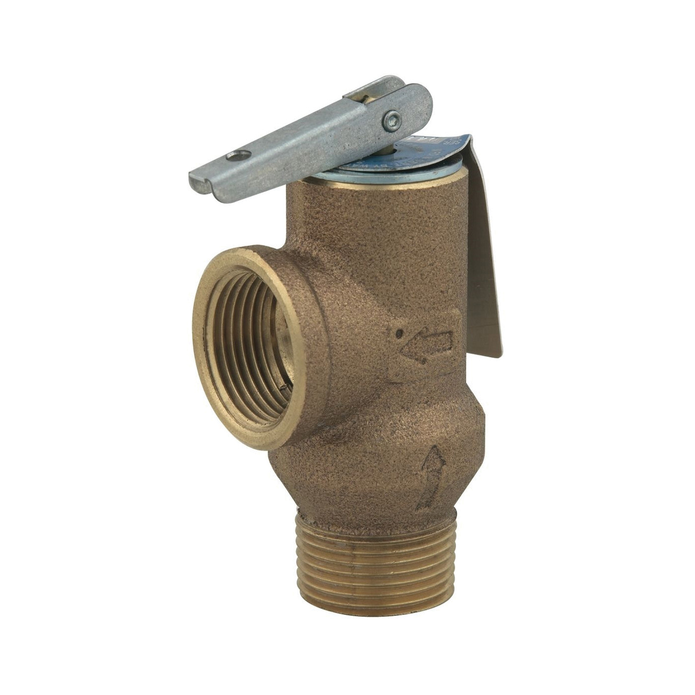WATTS® 0556032