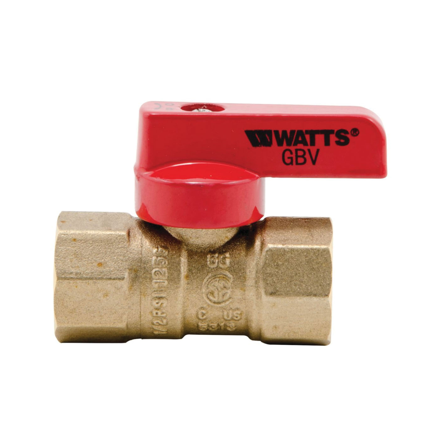 WATTS® 0545003