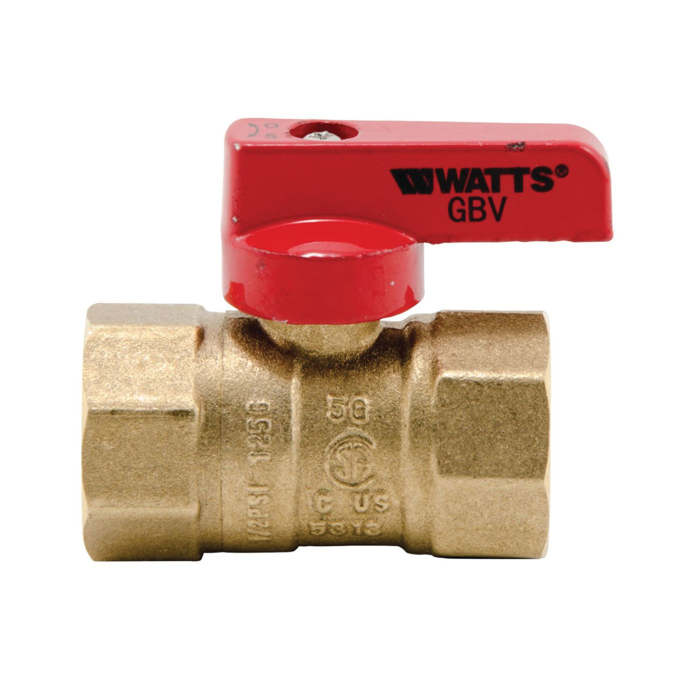 WATTS® 0545003 63923