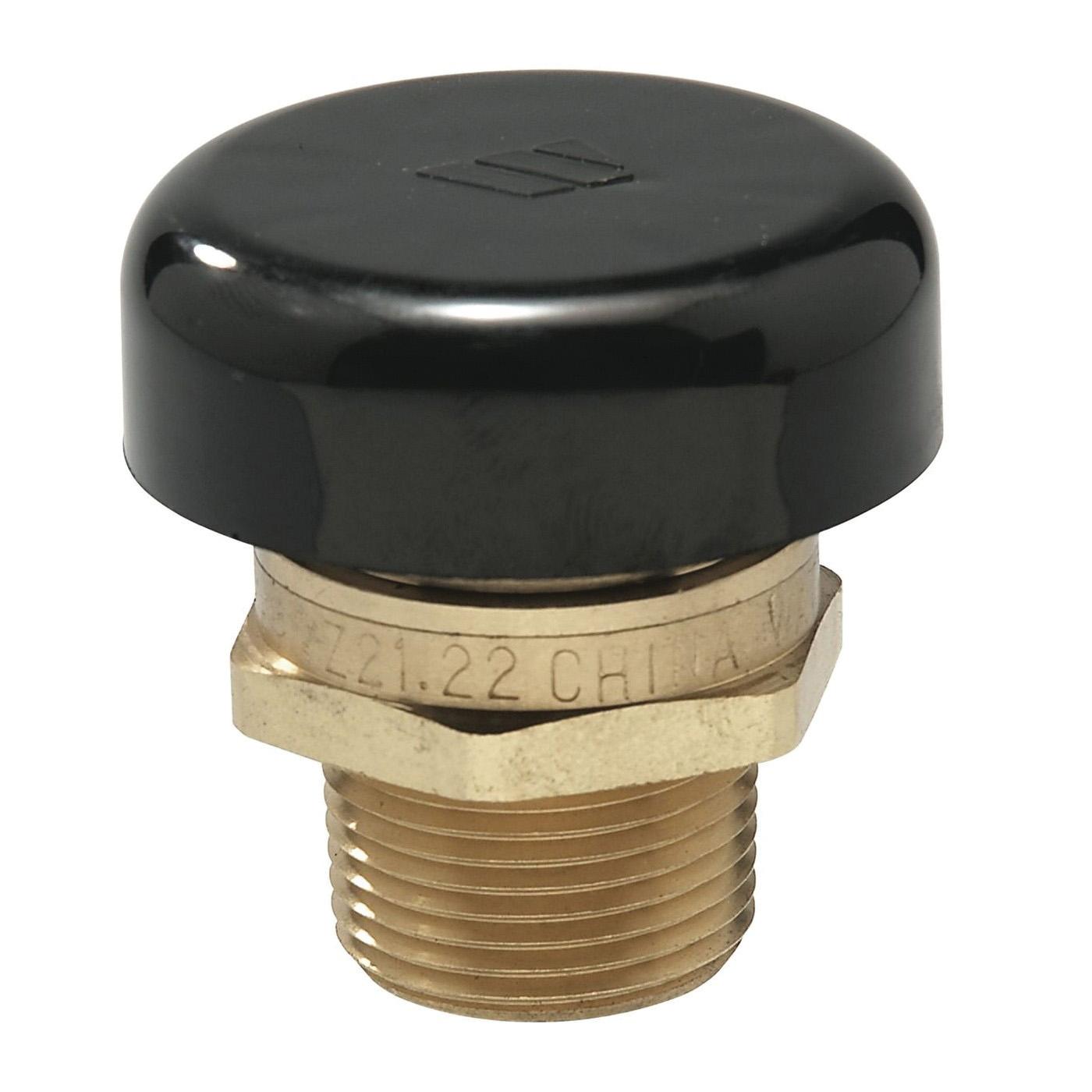 WATTS® 0556031