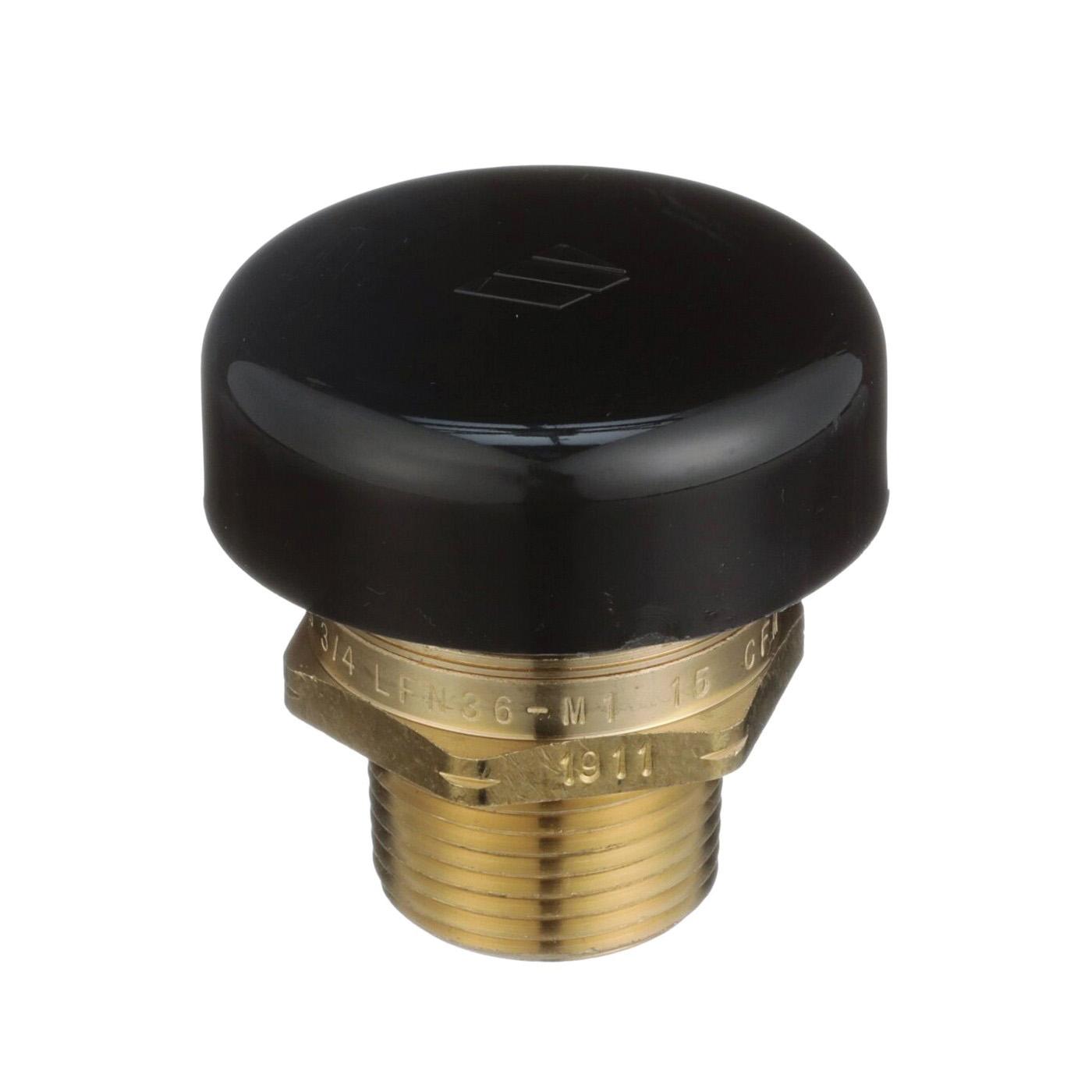 WATTS® 0556031 2741468