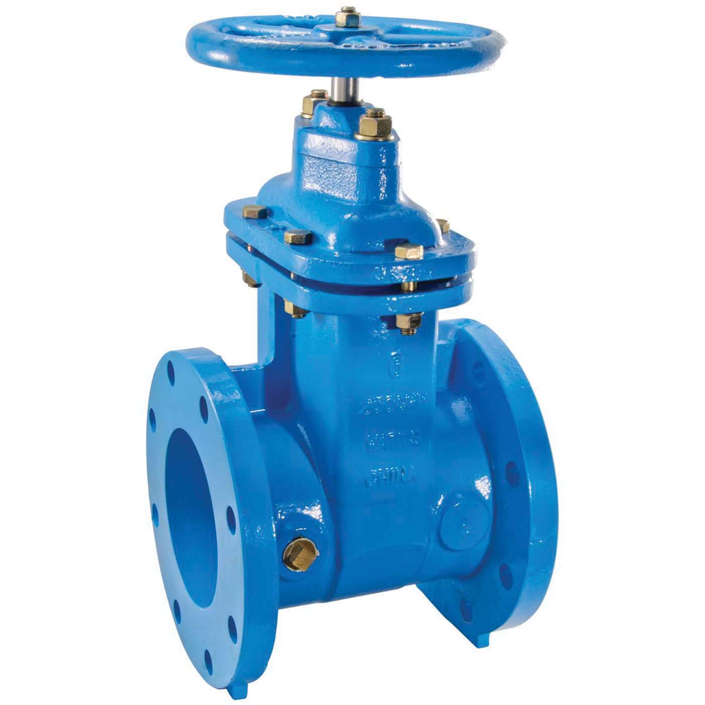 WATTS® 0700105