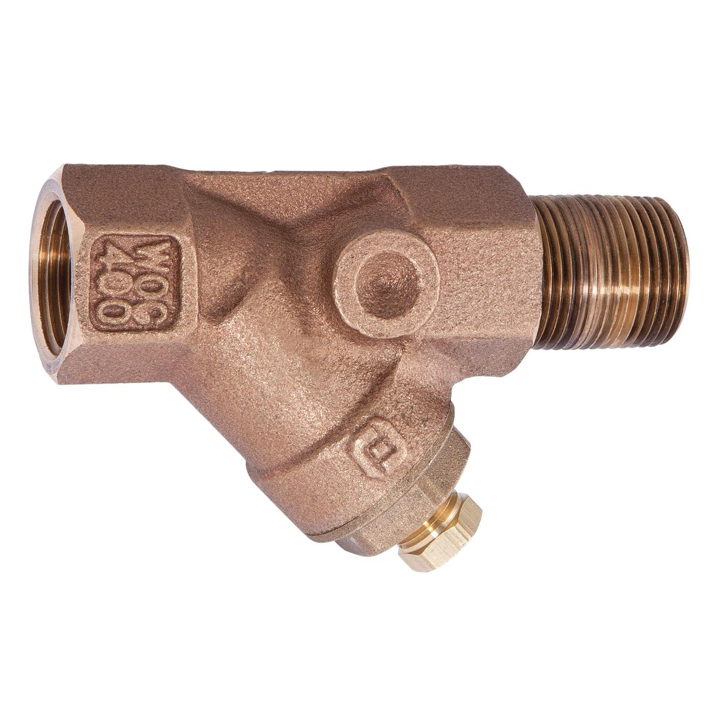 Watts LFAK Strainer Kit, 2 inch