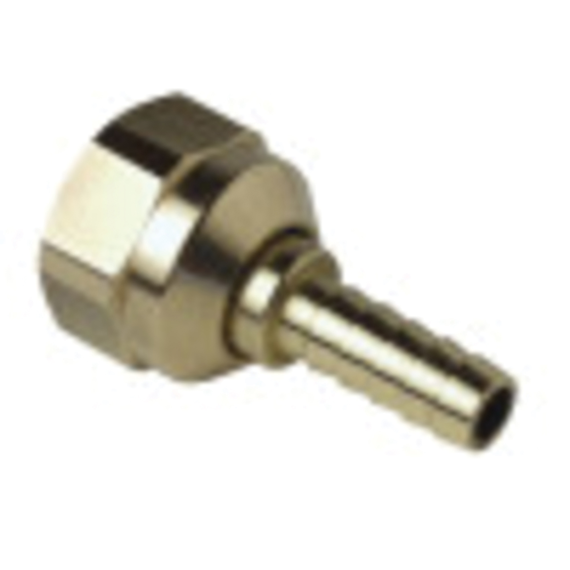 WATTS® 81000679
