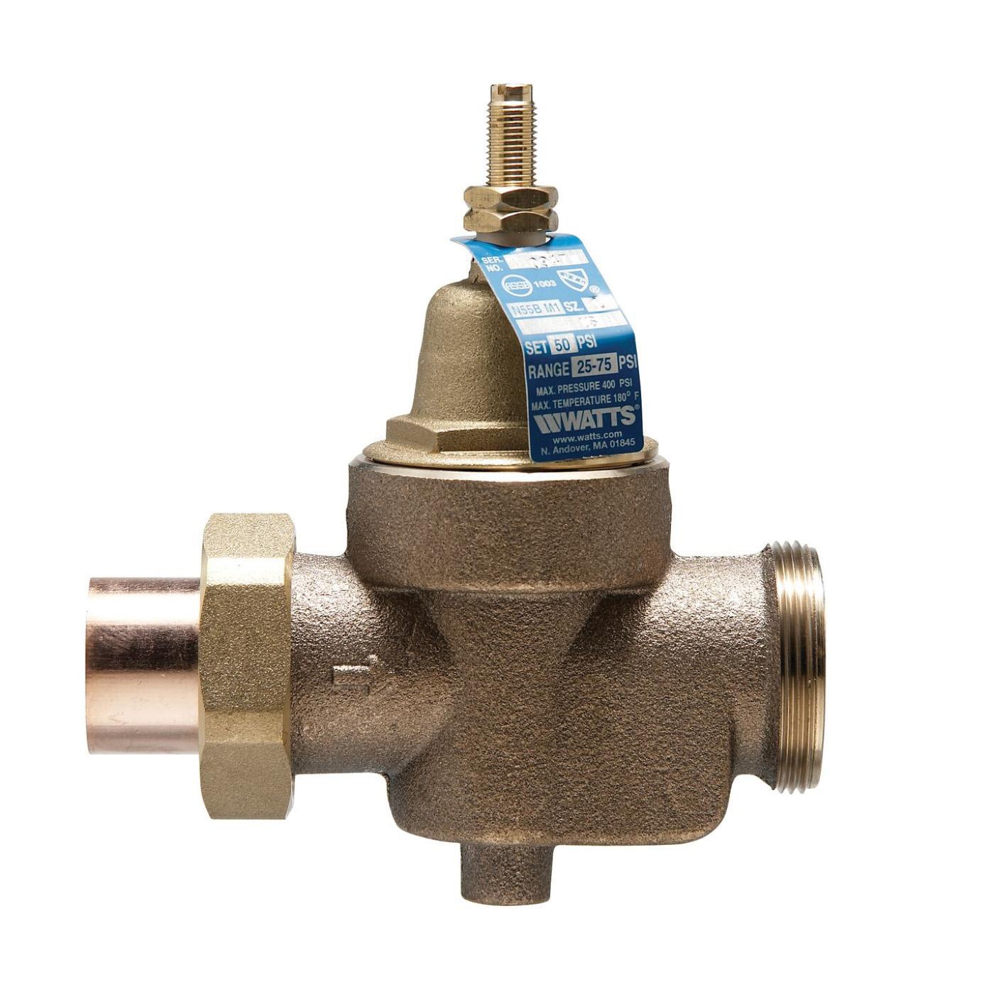 WATTS&reg; LFN55BM1-U-S 1 IN