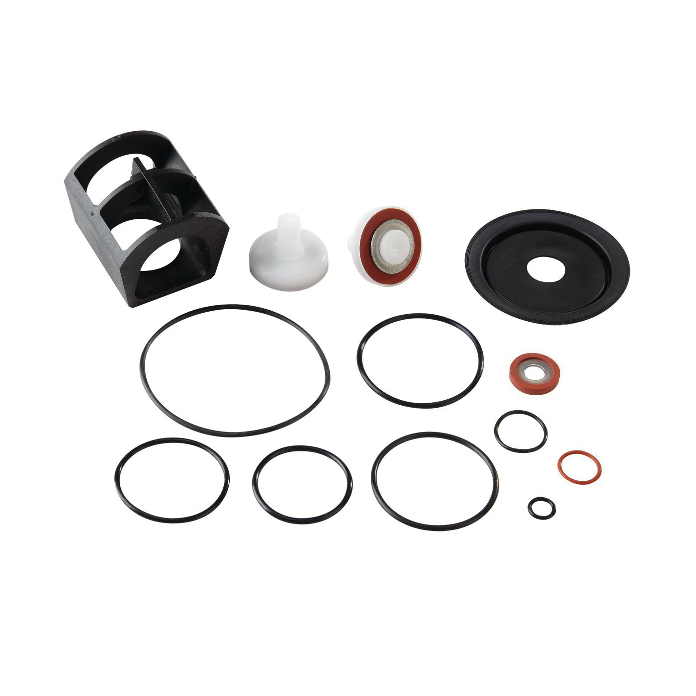 WATTS® RK 009M2-RT 1