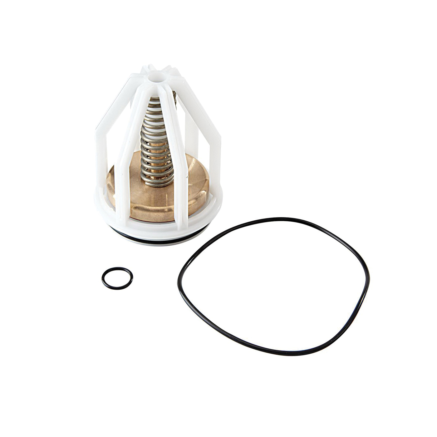 WATTS® RK 009-CK1 1 1/4-2