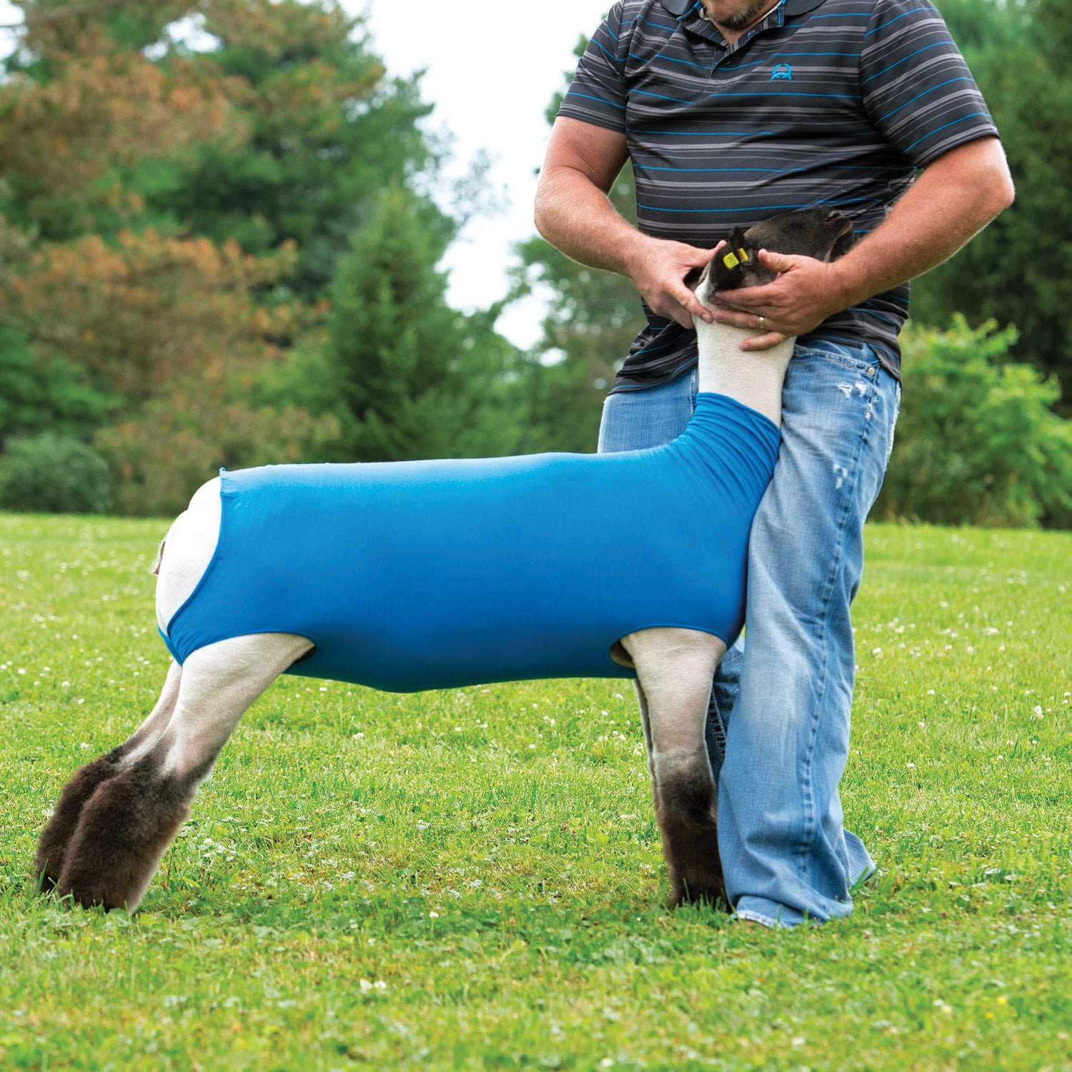 WEAVER LIVESTOCK&trade; 37511-50-02