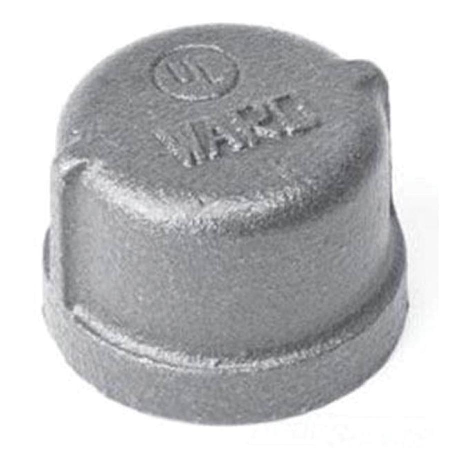 WardFlex 2D.BMCAP Cap, 2-1/2 in FNPT, Iron, Black, SCH 40, 150 lb