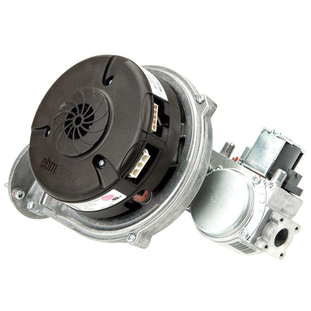 Weil-McLain&reg; WMP383700249