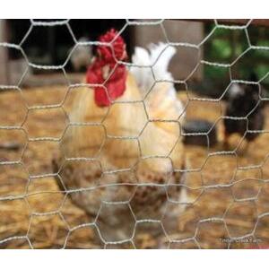 Wire Clothman™ ISCW148-150