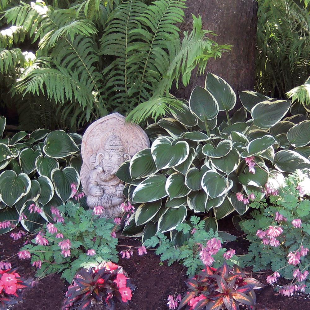 Lambert&reg; 664980 1115