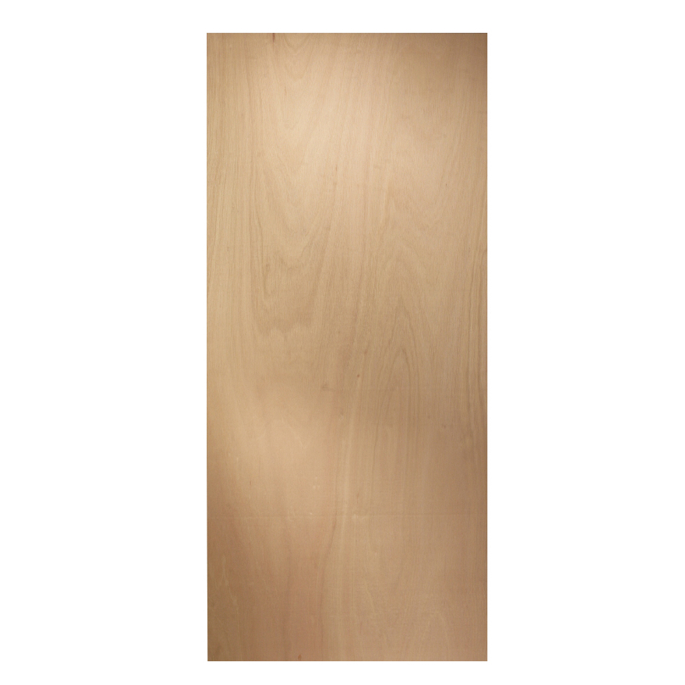 HomeBase USA Slab Doors