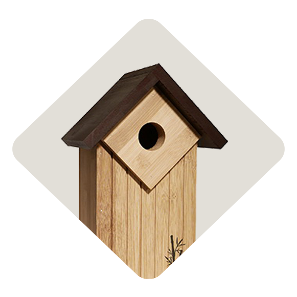 Bees & Wild Bird Wild Birds IFA