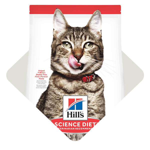 Companion Pet Cat IFA