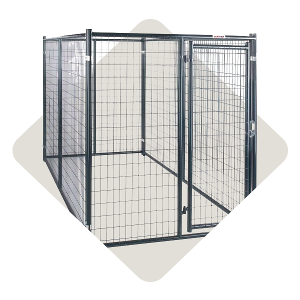 Companion Pet Dog IFA