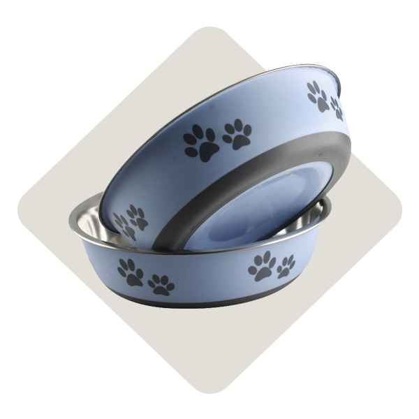 Companion Pet Dog IFA