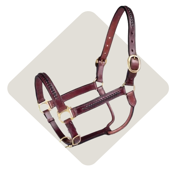 Equine Horse Tack IFA