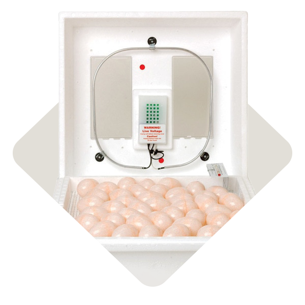 tradition et innovation PâtissierVol.2 Farm Innovators Pro Series Digital Circulated Air Incubator