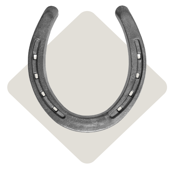 Equine Farrier Supplies IFA