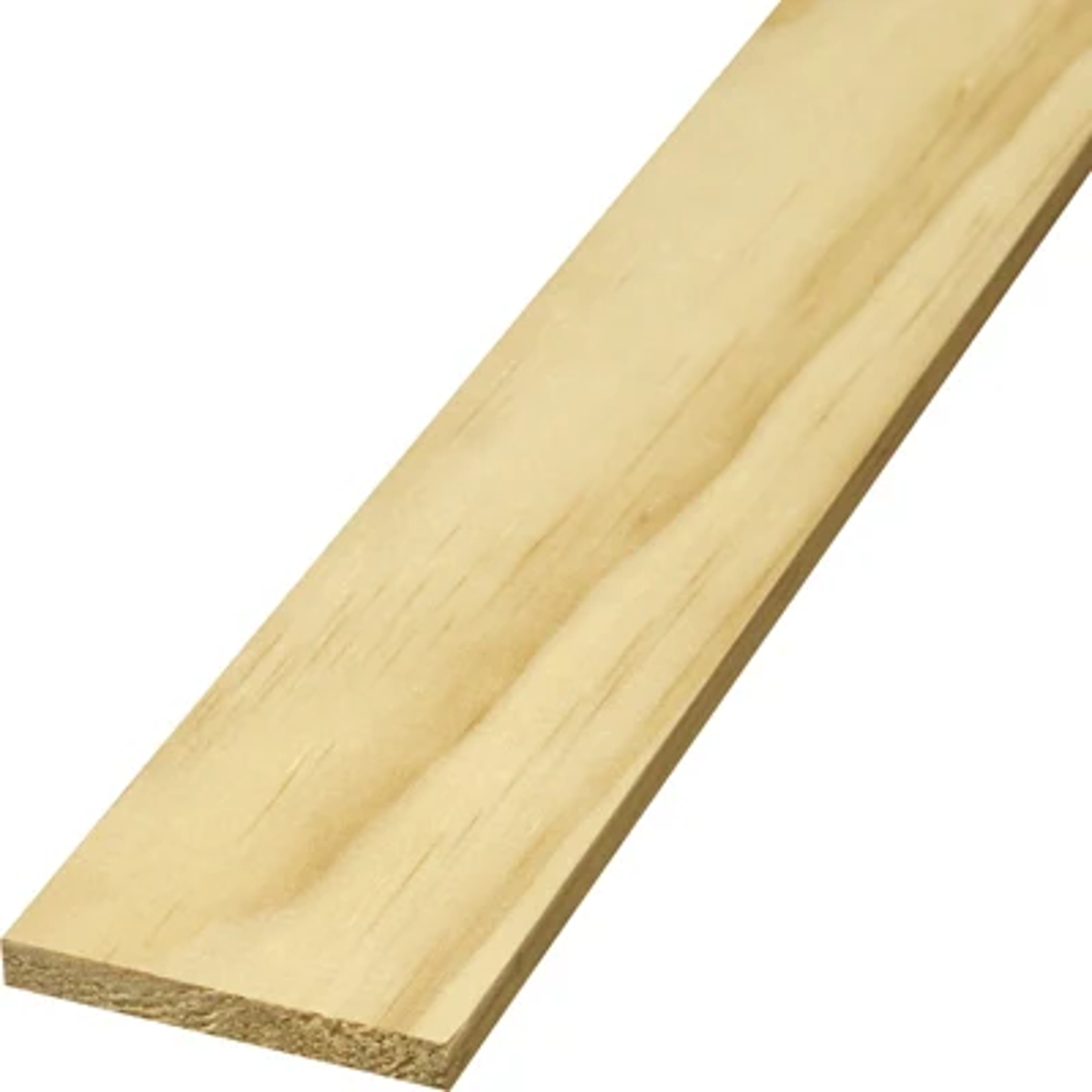 METRIE 1462050