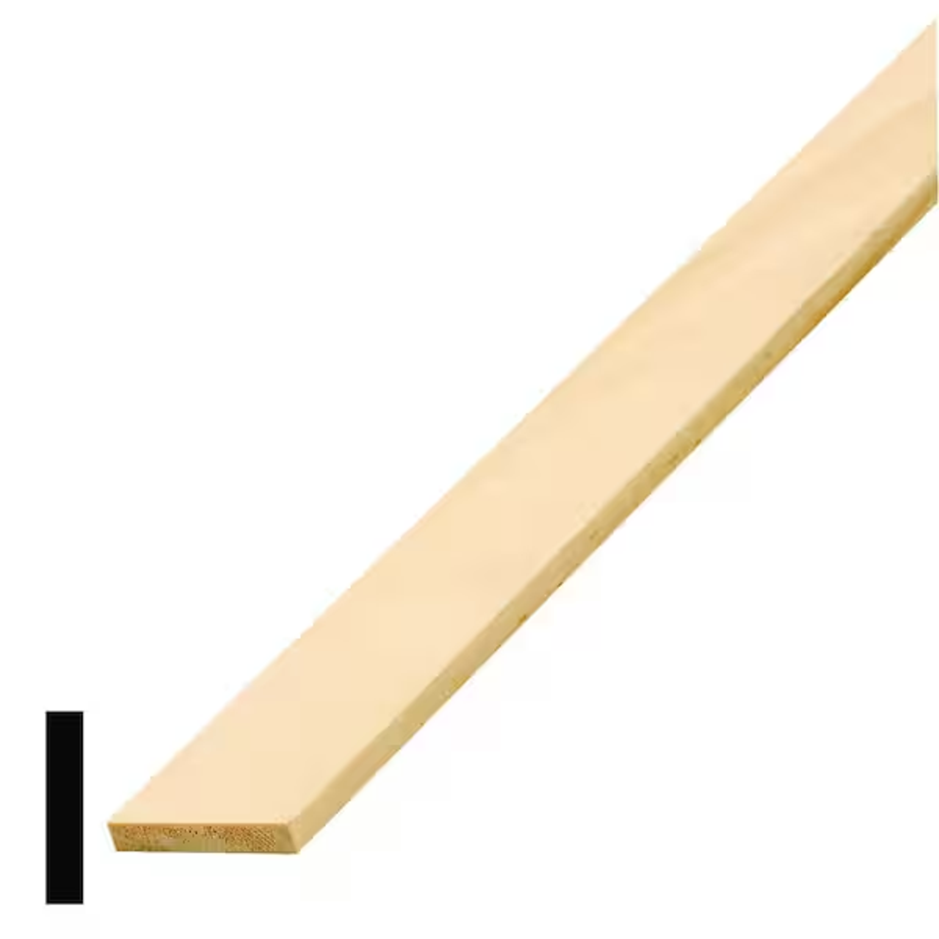 METRIE 1462054