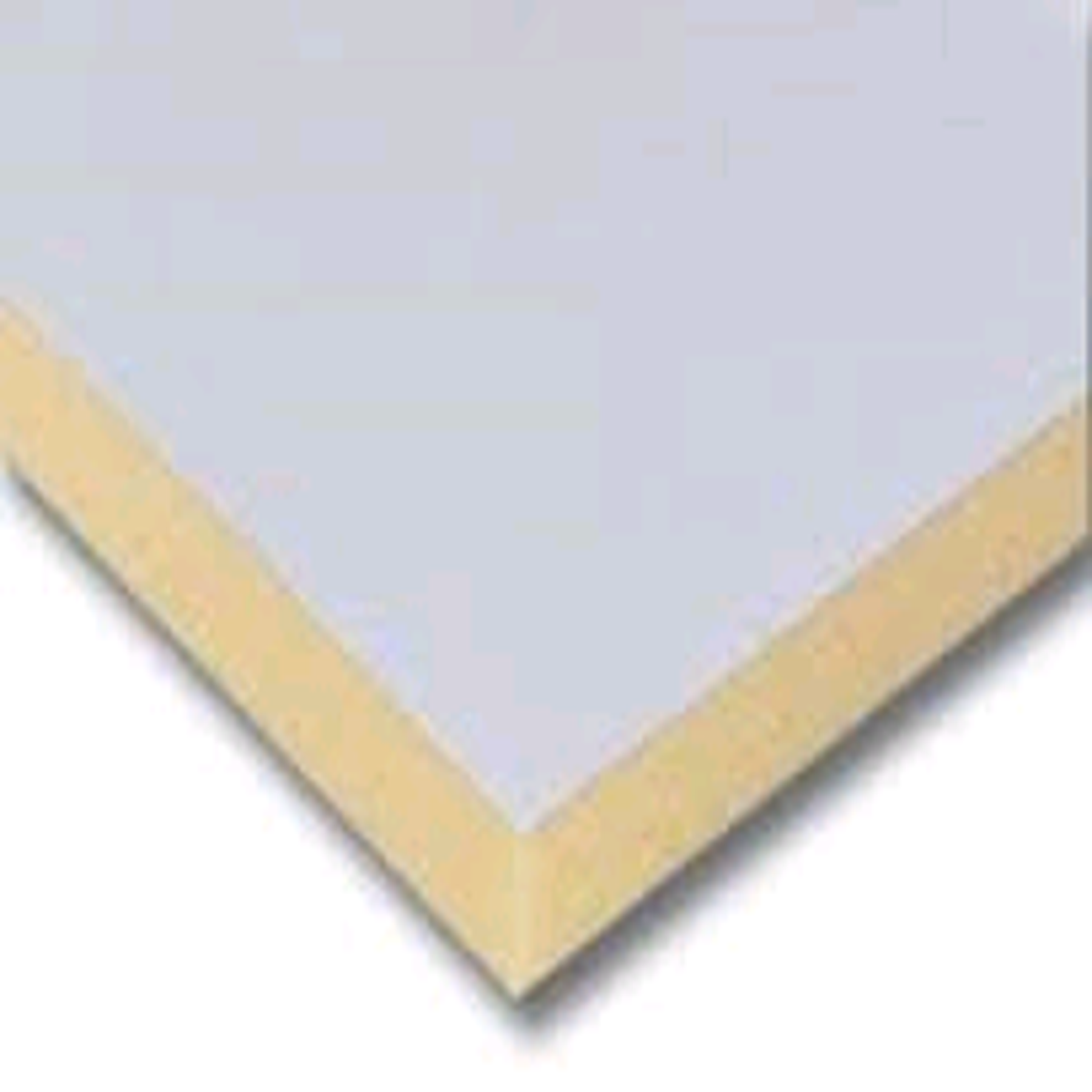DuPont 24481