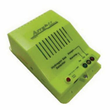 Personal/Portable Gas Detections