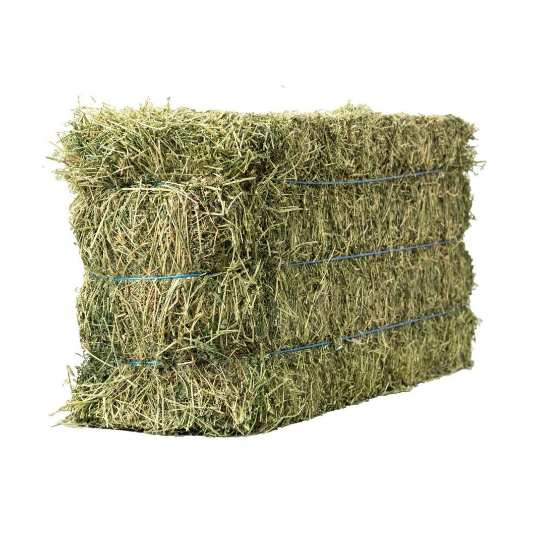Fsc ALFALFA