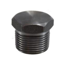 1/4 FS HEX HEAD PLUG