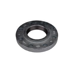 DUCTILE IRON FLANGE 6 150 THREADED