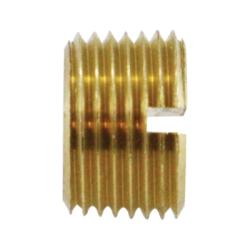 Slotted Head Plug