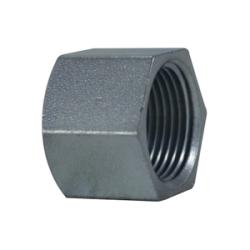 1 ZINC PLTD C/S SQ STEEL PLUG