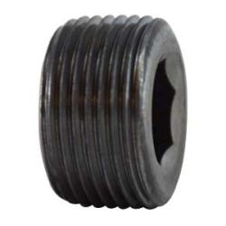 1/4 FLUSH CS HEX PLUG