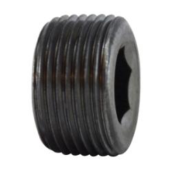 1 BLACK C/S HEX STEEL PLUG