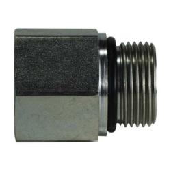 Female Pipe Adapter BSPP