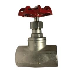 1 316 SS GLOBE VALVE