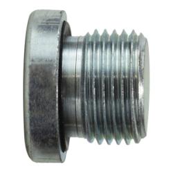 Hollow Hex Plug BSPP